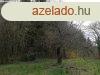 Nagykanizsn a Szabadhegyen 1466 m2-s belterleti ptsi te