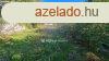 Elad 1395 nm-es jszer llapot ptsi telek Rckeve Opl