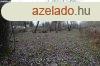 Rckevn Dunhoz kzel telek elad - Rckeve
