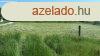 Szekszrdon a Cstnyi vlgyben 4600m2-es telek elad!