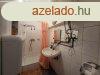 Albertirsai tanya 54 nm-es hzzal elad!