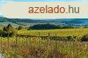 Elad rk panorms terlet budavron! 2,3ha!