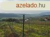 budavron RK PANORMS zrtkert elad! 5107nm!