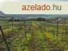 budavron RK PANORMS zrtkert elad! 5107nm!