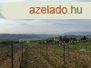 Elad RK PANORMS zrtkert budavron! 3989nm!