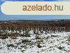 Erd kzelben -elad MEZGAZDASGI TERLET BALATONCSICSN -