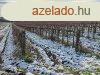 Telepls szln -elad MEZGAZDASGI TERLET BALATONCSICSN