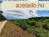Telepls kzeli - elad ERD TERLET BALATONUDVARIBAN - Bal