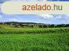 Falu melletti terlet - elad ZRTKERT SZENTJAKABFN - Szent