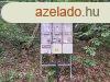 Kivl helyen - elad PTSI TELEK BALATONSZLSN - Balato