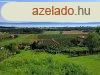 Telepls kzeli, panorms-elad MEZGAZDASGI TERLET TAGY