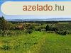 Telepls kzeli, panorms-elad MEZGAZDASGI TERLET TAGY