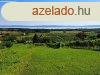 Telepls kzeli, panorms-elad MEZGAZDASGI TERLET TAGY
