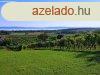 Telepls kzeli, panorms-elad MEZGAZDASGI TERLET TAGY