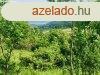 Ha csendre, nyugalomra vgyik, ne hagyja ki ezt az ajnlatot