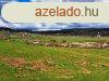 Tjpanorms,telepls kzeli- elad MEZGAZDASGI TERLET Z