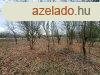 Vzparti terlet-elad MEZGAZDASGI TERLET BALATONAKALIBAN