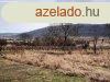 PANORMS terlet - elad ZRTKERT DRGICSN - Drgicse