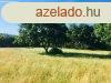 T kzelsge, a medence klmja mindig is j lehetsg - Dr