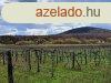 Tjpanorms,telepls kzeli- elad MEZGAZDASGI TERLET Z