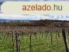 Tjpanorms,telepls kzeli- elad MEZGAZDASGI TERLET Z