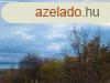 Balaton Pazar Ltvnya -Erdvel krl lelt terlet... - Vs