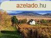 Panorms , telepls kzeli-elad ZRTKERT BALATONEDERICSEN