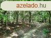 Telepls kzeli - elad LEGEL, ERD KAPOLCSON - Kapolcs