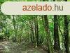 Telepls kzeli - elad LEGEL, ERD KAPOLCSON - Kapolcs