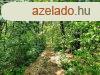 TELEPLS KZELBEN elad MEZGAZDASGI TERLET KAPOLCSON - 