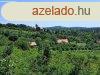 rk tjpanorms - elad MEZGAZDASGI TERLET PCSELYEN - 