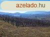 PTHET, PANORMS- elad MEZGAZDASGI TERLET SZENTJAKABF