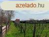 pthet telek 500 mterre a strandtl - Balatonfred
