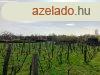 pthet telek 500 mterre a strandtl - Balatonfred