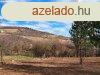 PTHET, TJPANORMS  terlet -elad ZRTKERT PCSELYEN - 
