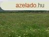 Falu szli mezgazdasgi terlet - Balatonszls