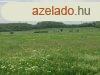 Falu szli mezgazdasgi terlet - Balatonszls