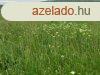Falu szli mezgazdasgi terlet - Balatonszls