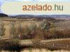 Tihanyi-flsziget -Dis rszn ELAD terlet