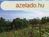 Panorms terlet - elad MEZGAZDASGI TERLET BALATONFRED