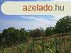 Panorms terlet - elad MEZGAZDASGI TERLET BALATONFRED