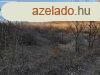 A termszet lelsben - Balatonszls