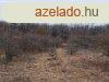 Kzt melletti - elad LEGEL BALATONALMDIBAN - Balatonalm