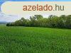 Kivl helyen - elad SZNT MINDSZENTKLLN - Mindszentkll