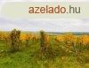 Csodlatos kiltst keresel a Balatonra? MEGTALLTAD !! - D