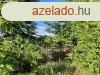 Htvgi telek, csend s j leveg - Tura