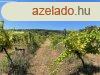 Elad Balatatonszepezden egy rkpanorms klterleti telek