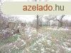 Szolnok kzelben lv 2,6 HA -os tanya elad, M4-es t mell