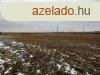 Szolnok kzelben lv 2,6 HA -os tanya elad, M4-es t mell