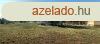 Tiszajenn elad egy 2033 nm-es ptsi telek